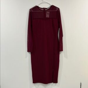 Burgundy Mesh Long Sleeve Dress NWT